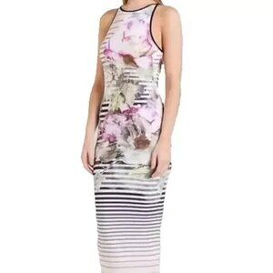 Ted Baker London Laya Sleeveless Peony and Stripe Design Bodycon Midi Dress